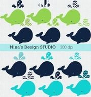 Whale set drawing
