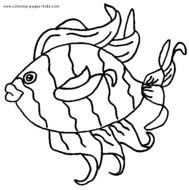 Tropical Fish Coloring Pages N4