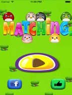 Matching Games For Adults