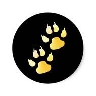 Animal Paw Prints N5