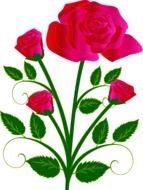 Rose red flower Clip Art drawing