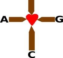 Grace Clip Art N5