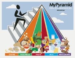Food Groups Pyramid N2