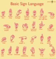 Basic Sign Language Chart