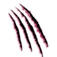 Panther Claw Marks N5