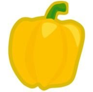 Yellow Pepper drawing