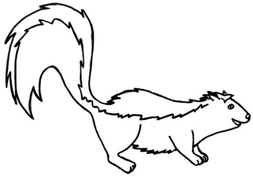 Skunk Coloring Pages