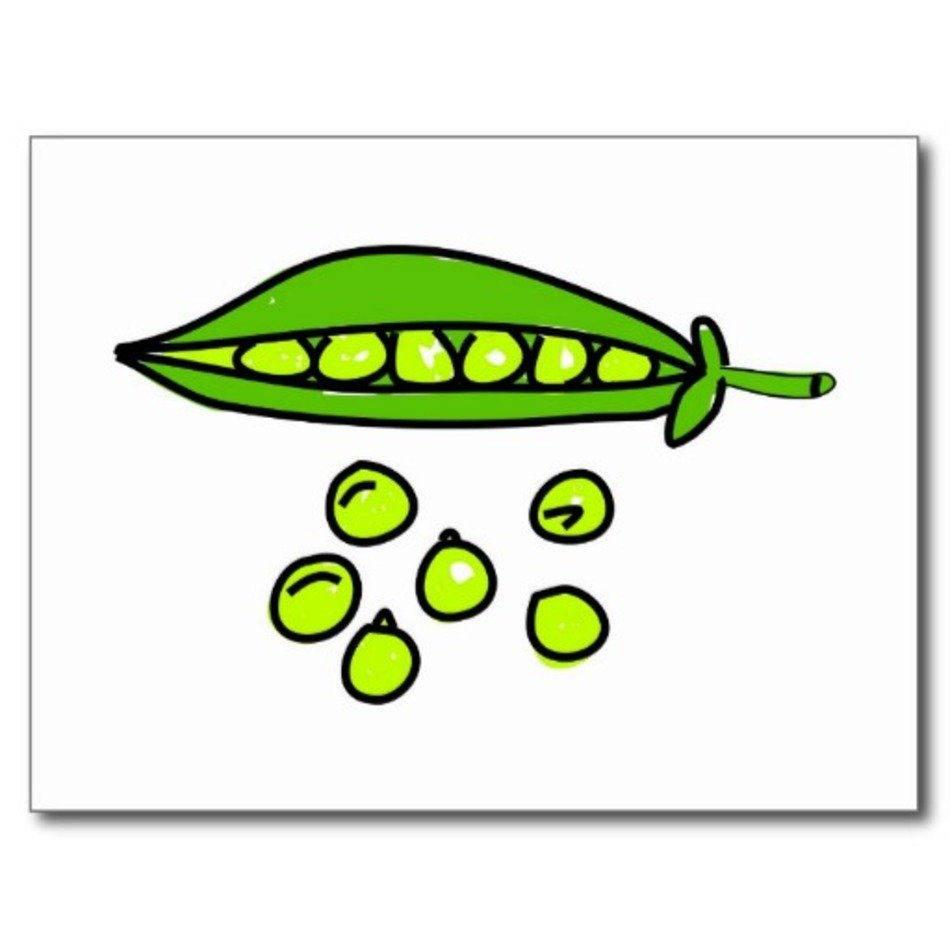 WE COME IN PEAS POSTCARDS
