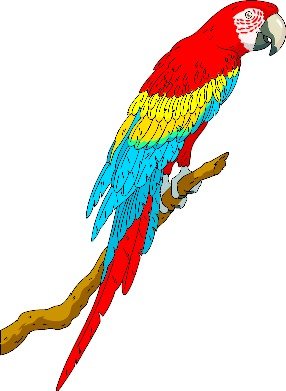 Parrot Clip Art Free N13