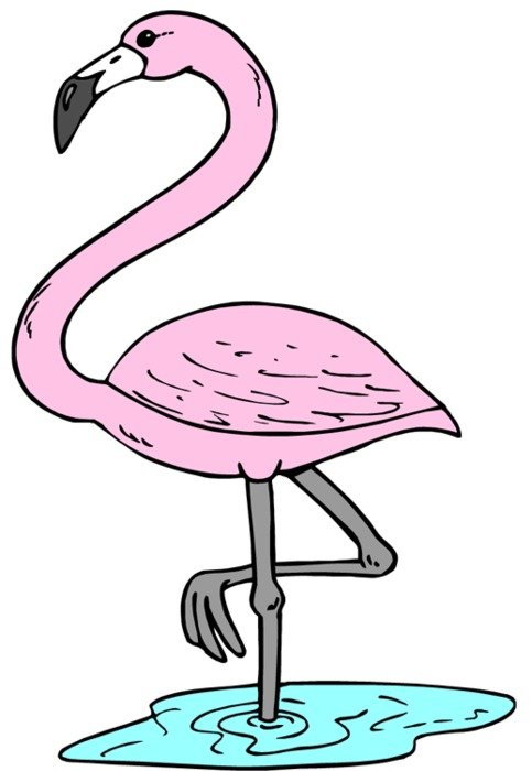 Flamingo Clip Art N54