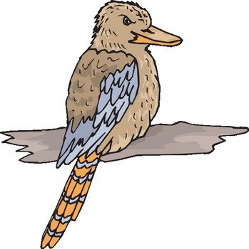 Kookaburra Clip Art N2