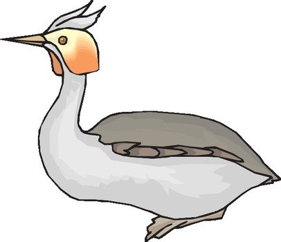 Woodpecker Bird Clip Art