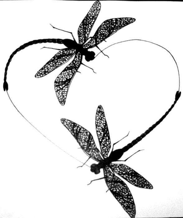 Dragonfly Heart Tattoo