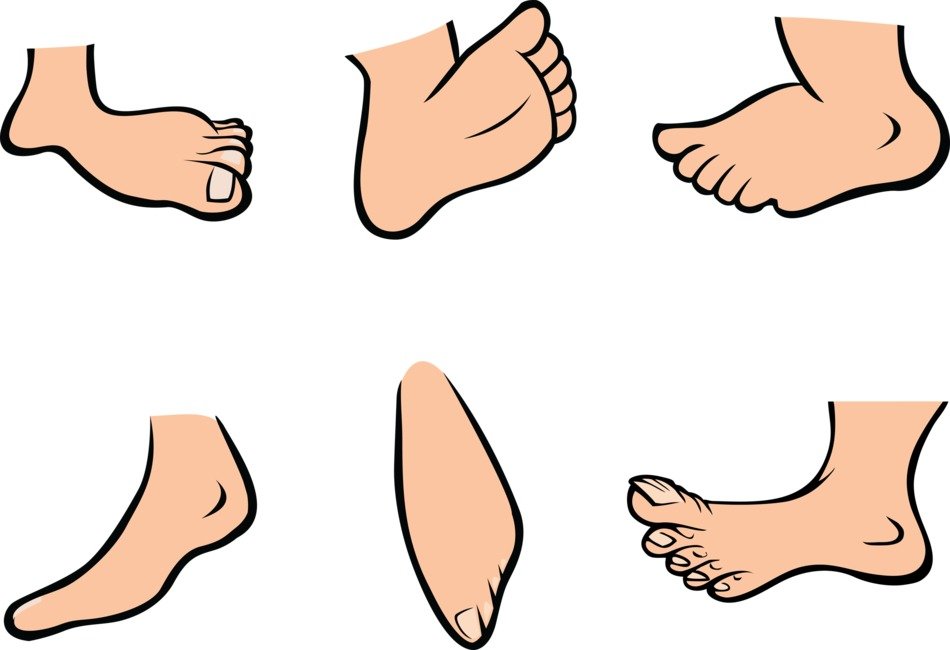 wallpaper with cartoon feet