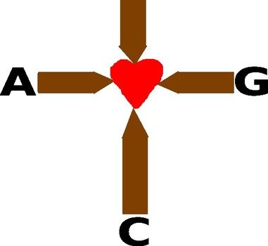 Grace Clip Art N5