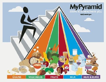 Food Groups Pyramid N2