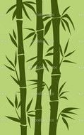 Bamboo Vector Illustration drawing