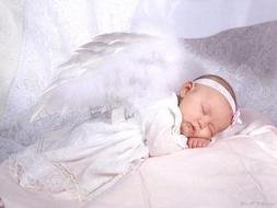 Baby Angel Sleeping