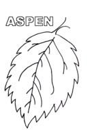 Aspen Leaves Coloring Page
