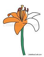 Tiger Lily Coloring Pages