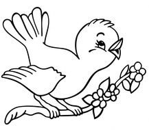 Ä°llustration of Bird Coloring Page