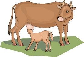 Cow Clip Art N179