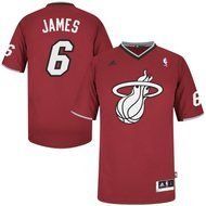 Miami Heat New Jersey 2014