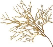 Gold Leaves drawing