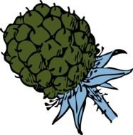 BlackBerry Fruit Clip Art N4