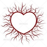 Heart Veins