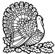 Free Turkey Coloring Pages
