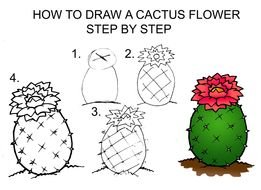 Prickly Cactus drawing