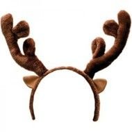 Reindeer Antlers N4