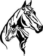 drawn black and white horse and foal head