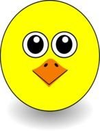 Funny bird Faces drawing