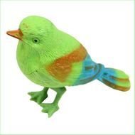 Singing Bird Toy