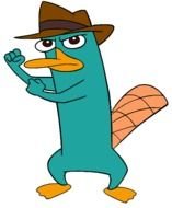 Phineas And Ferb Perry
