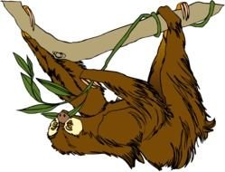 Sloth Clip Art N14
