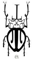 Tribal Elephant Drawings