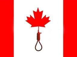 Canadian Flag N14