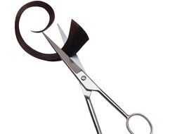 Hair Stylist Tools as a picture for a clipart
