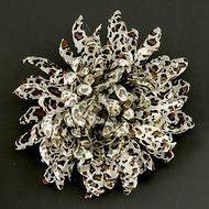 Cheetah Print Mum Flower