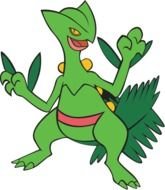 Pokemon Sceptile drawing