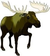 Moose Clip Art N57
