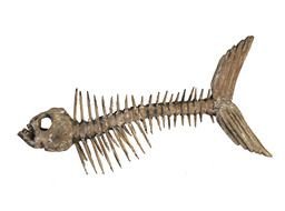 Fish Skeleton Art drawing