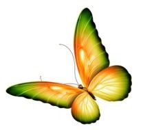 Colorful flying butterfly with the shining wings clipart