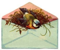 drawn bird in an envelope