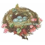 Nest Clip Art N35