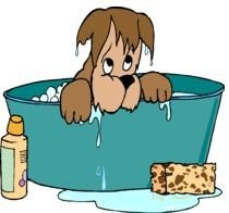 Dog Wash Clipart drawing