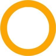 Orange Circle N4
